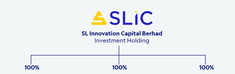 SLIC Group Structure | SLIC